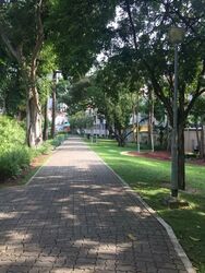 Sago Lane (D1), Detached #575940921
